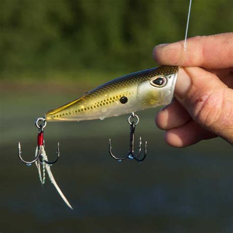 Lured Fishing .